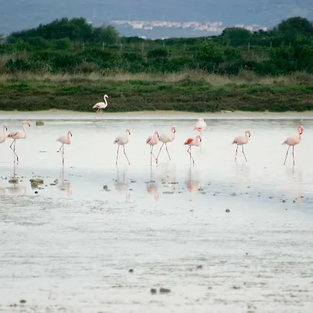 Raffael Phg Putzu Idu